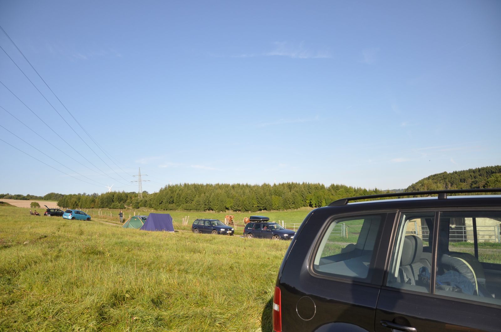 WRC-D 21-08-2010 001 .jpg